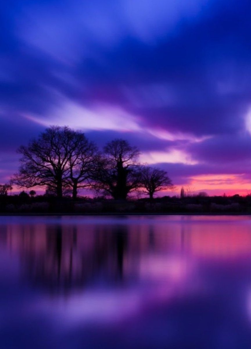 Sienna_2g's tweet photo. #NaturePhotography https://t.co/c2pafgsKcx