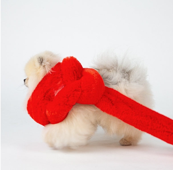 KaloryPhoto's tweet photo. Wishing you a Merry Christmas from the Kalory Photo & Video Team ⭐
https://t.co/H3iNgYzarE
#pomeranian #pomeranianofinsta
#dogphotography #dog #productphotography #londonphotographer #londonphotostudio #sw2 #commercialproject #sw2studio https://t.co/ka1t2DY09T