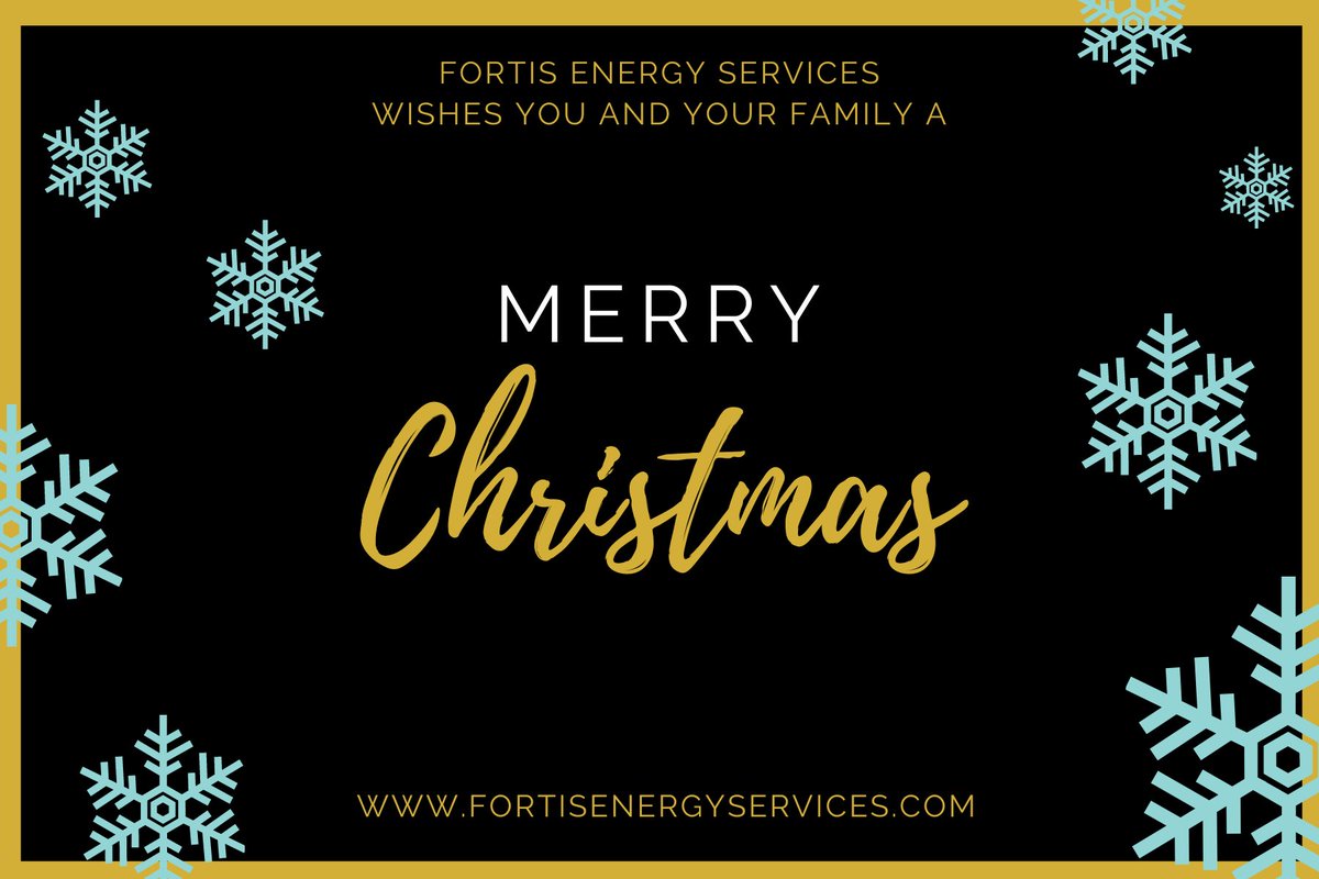 FortisESI's tweet photo. Merry Christmas! 🌟 https://t.co/nnBXUGzGnv