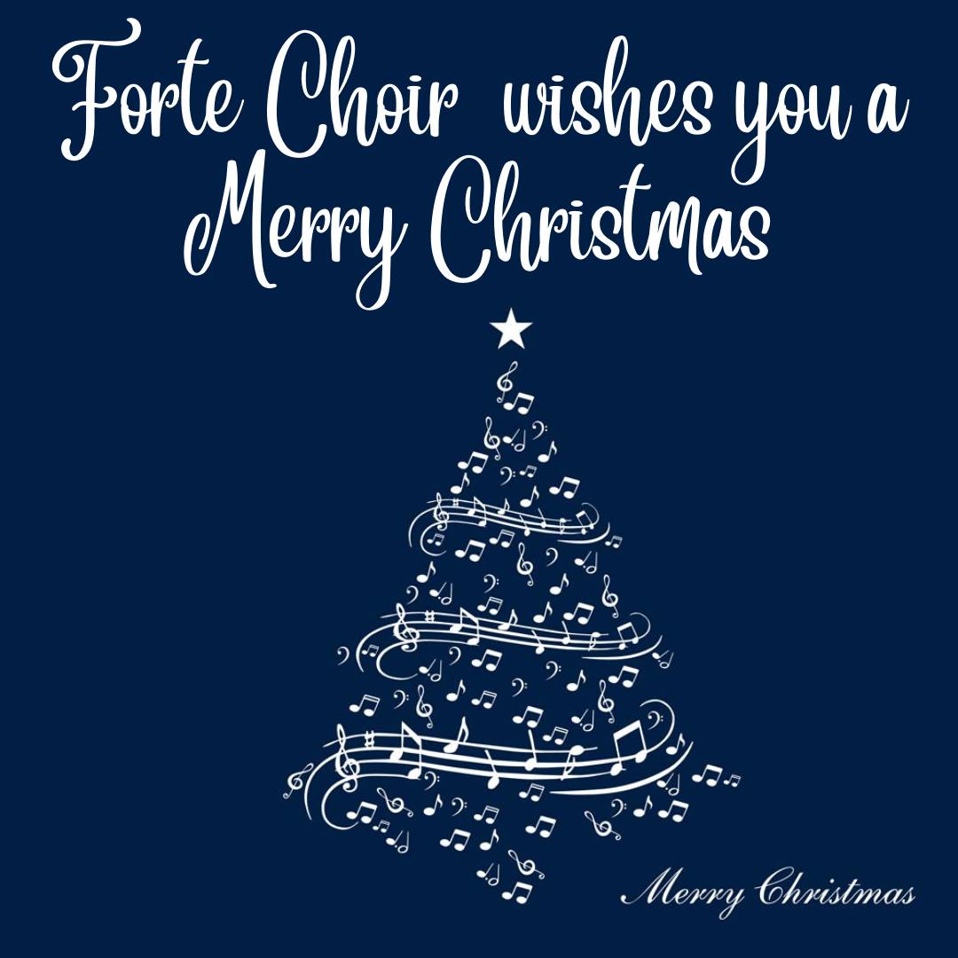 fortecov's tweet photo. Wishing you all a safe, Merry Christmas and a Happy New Year! https://t.co/Av4rFI3XBe