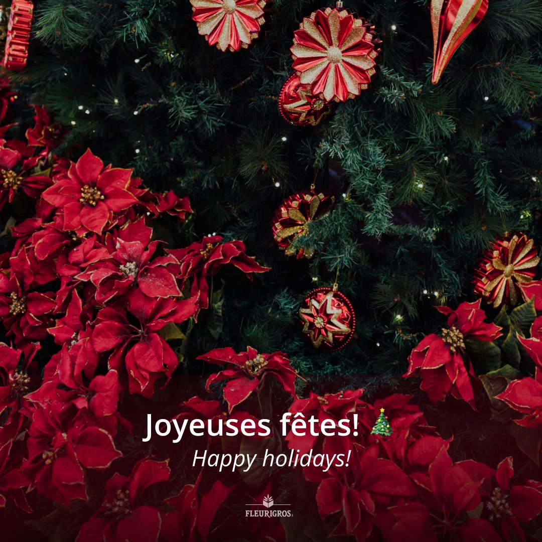 Fleurigros's tweet photo. De nous tous chez #Fleurigros, nous souhaitons de joyeuses fêtes à tous nos clients! 🎄

Nous vous exprimons nos voeux les plus sincères. ✨

Passez de belles célébrations!

🚨Horaire des fêtes: nous sommes fermés du 24 au 27 décembre.

#FlowersWholesale #HappyHolidays https://t.co/CeILD8Qivi
