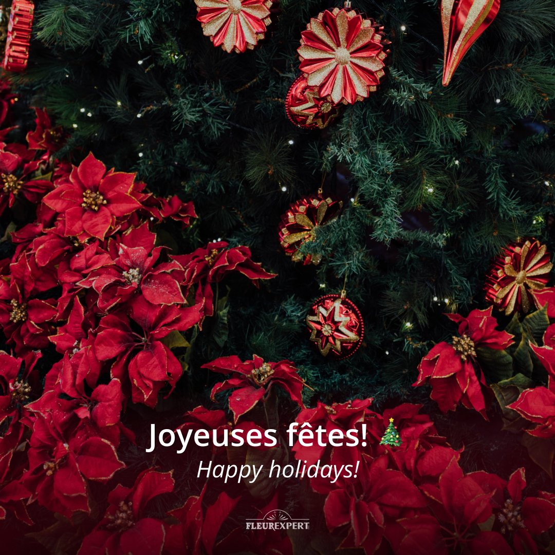 Fleurexpert's tweet photo. De nous tous chez #Fleurexpert, nous souhaitons de joyeuses fêtes à tous nos clients! 🎄

Nous vous exprimons nos voeux les plus sincères. ✨

Passez de belles célébrations!

🚨Horaire des fêtes: nous sommes fermés du 24 au 27 décembre.

#FlowersWholesale #HappyHolidays https://t.co/xeXnfgxeqi
