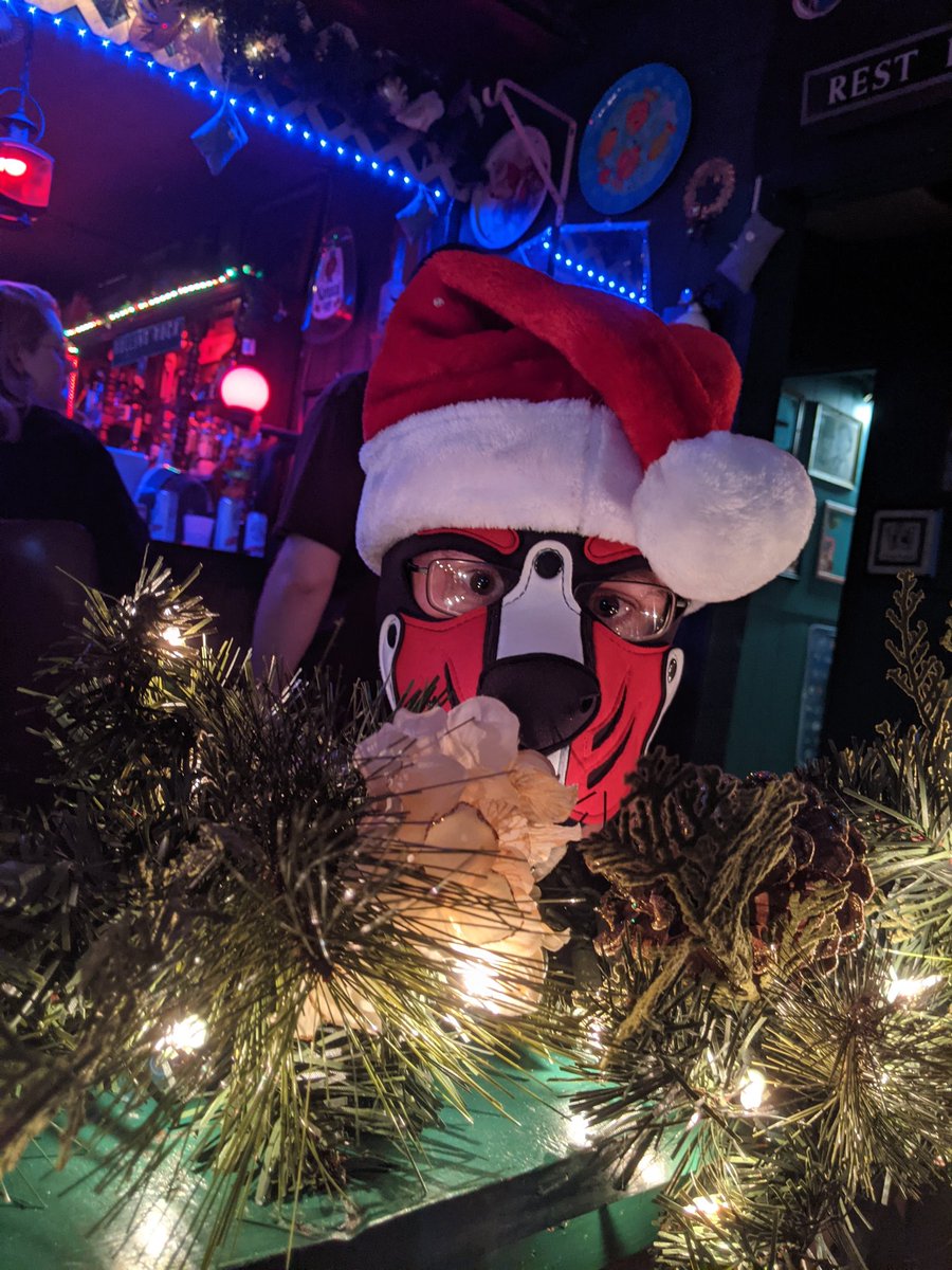 ThePup_Sasha's tweet photo. Merry Christmas and Happy Holidays to everyone! https://t.co/jCOmNb6ZOE
