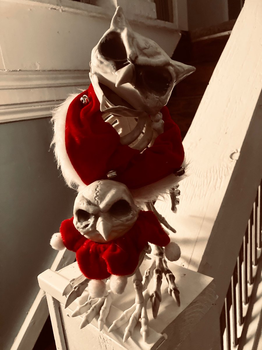 KARENSTEVER's tweet photo. Wow. SkeleOwl Baby looks grumpy even on #Christmasmorning. Hmm. Must be his standing face, then. 🦉 https://t.co/eyLmg0CMLy