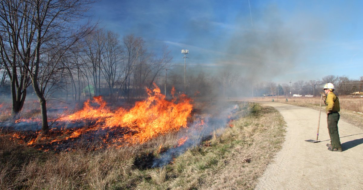 Warmest of Holiday Wishes from all of us here at Pizzo &amp; Associates, LTD. Wishing you and your family a peaceful, holiday season and a happy new year.