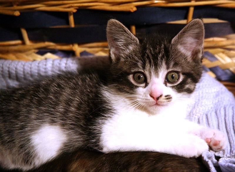 <a href="/Rossella_71/">Rossella Barbanera</a> Un giorno che possa avere tanta serenità.🎅🎅🎅