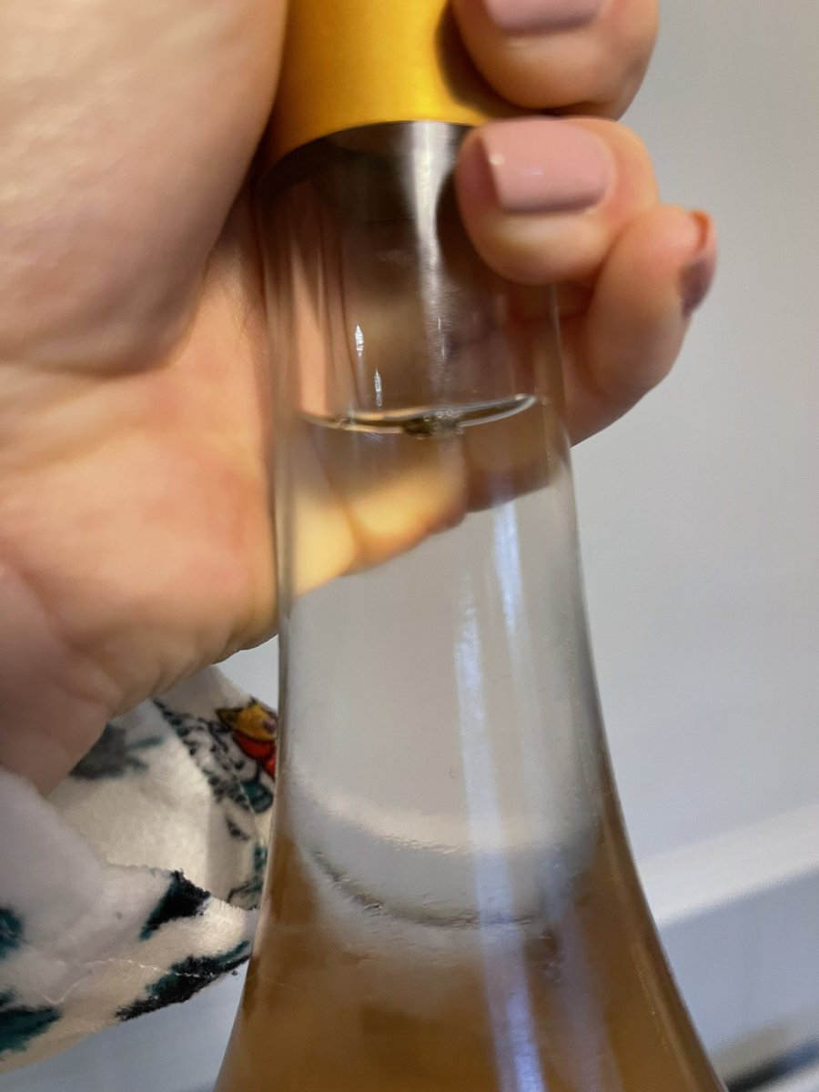 laurenjefferies's tweet photo. @Tesco bought this wine yesterday on Clubcard price ready for Xmas Day. About to open it and saw this bug floating in the top! Cant find an email address on the website. I’ll take it back to the shop on Monday when it’s are open, however what compensation can you offer please? https://t.co/tE5DSb0KgQ