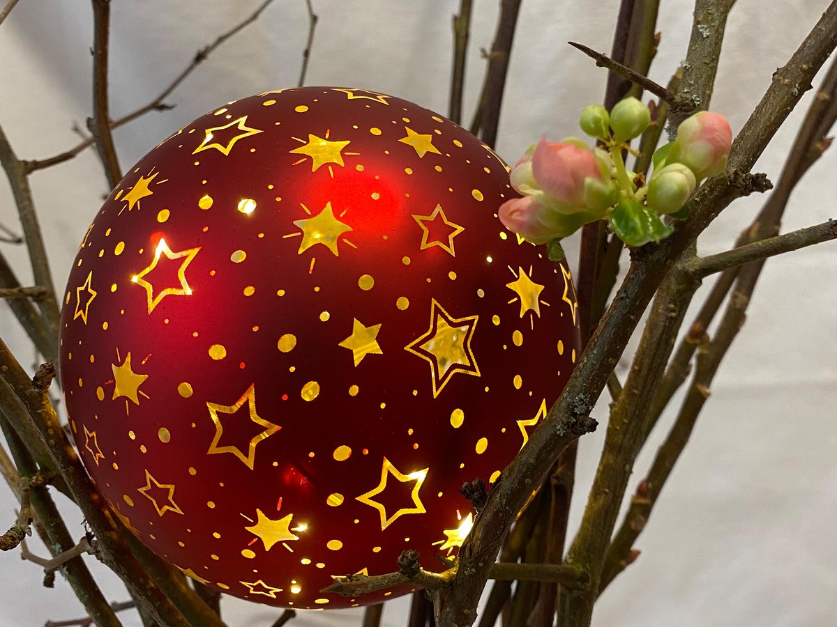 Juergen Freundel tweet media