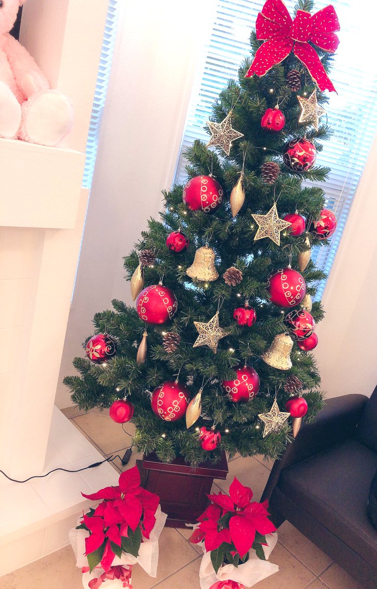 himeyasuko's tweet photo. メリークリスマス🎄
메리 크리스마스🥂🎂

#메리크리스마스
#メリークリスマス https://t.co/i5ucjeeJQ4
