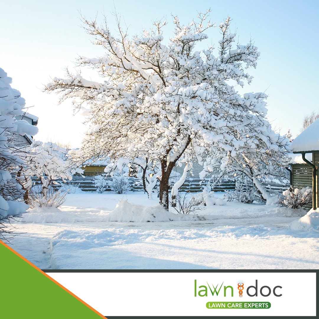 Lawn Doc tweet media