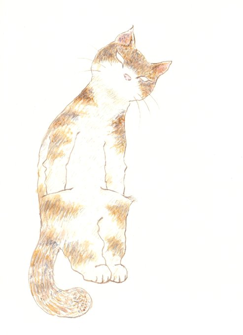Catstanのtwitterイラスト検索結果