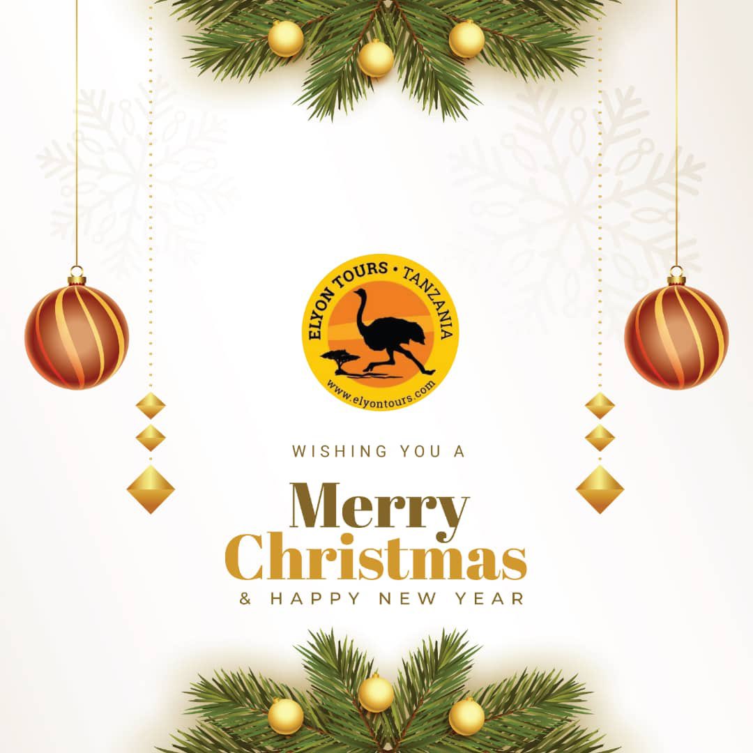 ElyonTours's tweet photo. To our good friends who travelled with us in the past. We wish you a Merry Christmas and happy new year 2022. From all of us at Elyon Tours Tanzania and Elyon &amp; Friends Tanzania https://t.co/chnWHogyf9