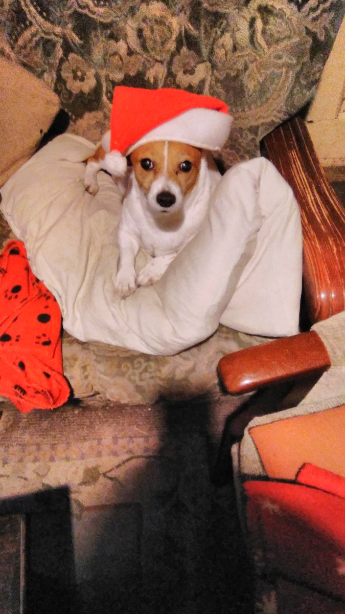 LesleyannBalla1's tweet photo. Merry Christmas from myself and lovely Lily. Have a great day, be good but most importantly stay safe. 🎄⛄💕💕 https://t.co/hXQfrOaQoF