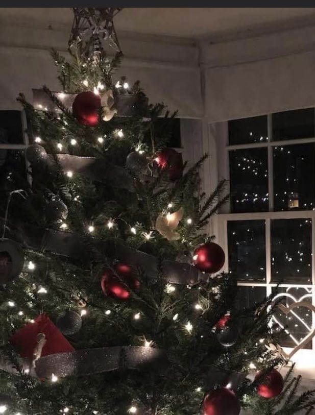 bekigmailcom2's tweet photo. Merry Christmas for all Christians! https://t.co/7OMpQNrp5K