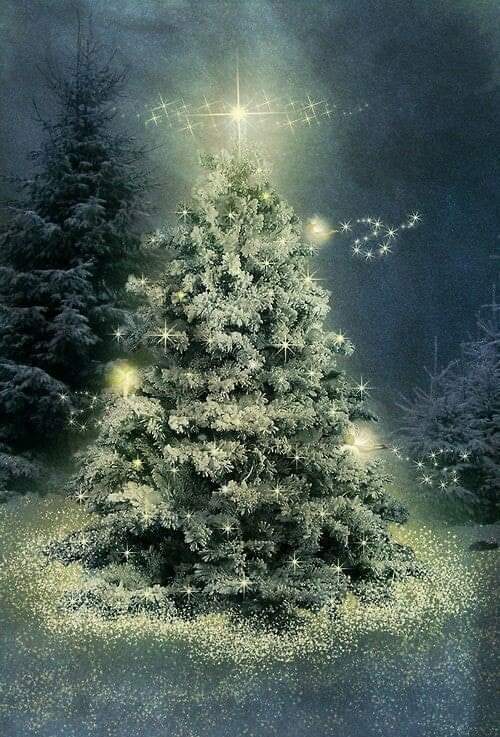 My off season home #Vancouver <a href="/Vancity/">Vancity</a> ❤️❤️❤️❤️ is so close I can taste it ! But to #Seattle first !!! Release the <a href="/SeattleKraken/">Seattle Kraken</a>