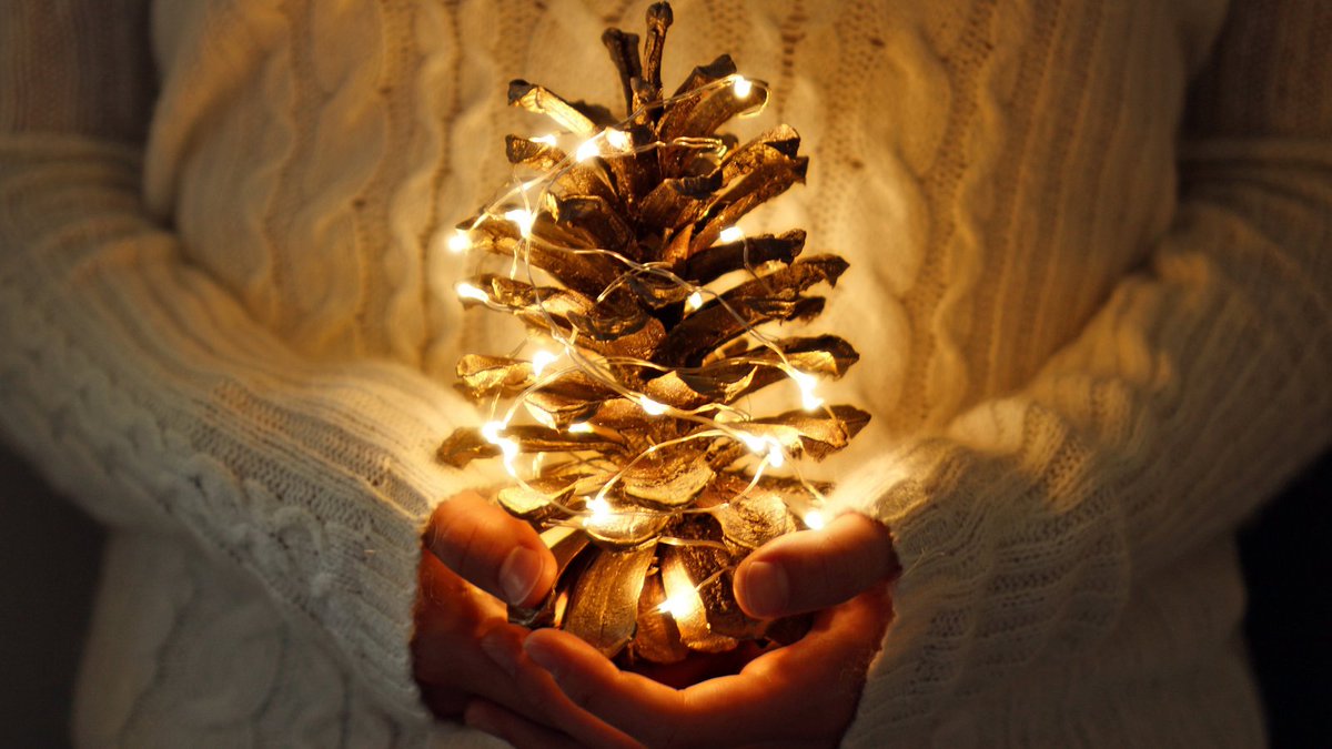 MeetupFR's tweet photo. Joyeux Noël de la part de toute l'équipe #Meetup !

Nous vous souhaitons un cœur plein d'amour et de compagnie ❤️

#joyeuxnoel #bonnesfetes #meetupfr https://t.co/dKB0opFOjr