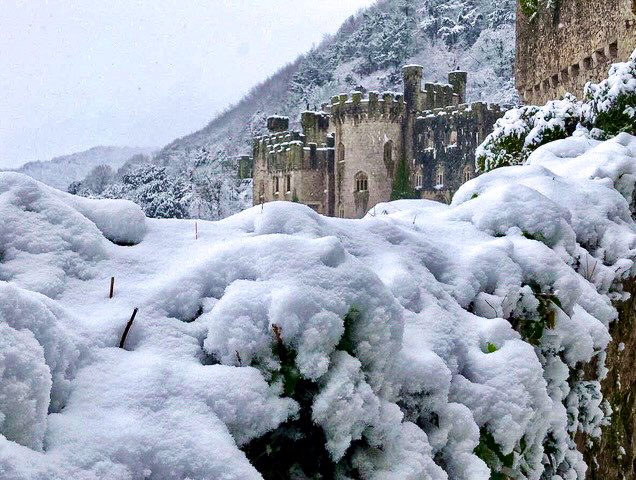 Merry Christmas from Gwrych Castle! 🎄