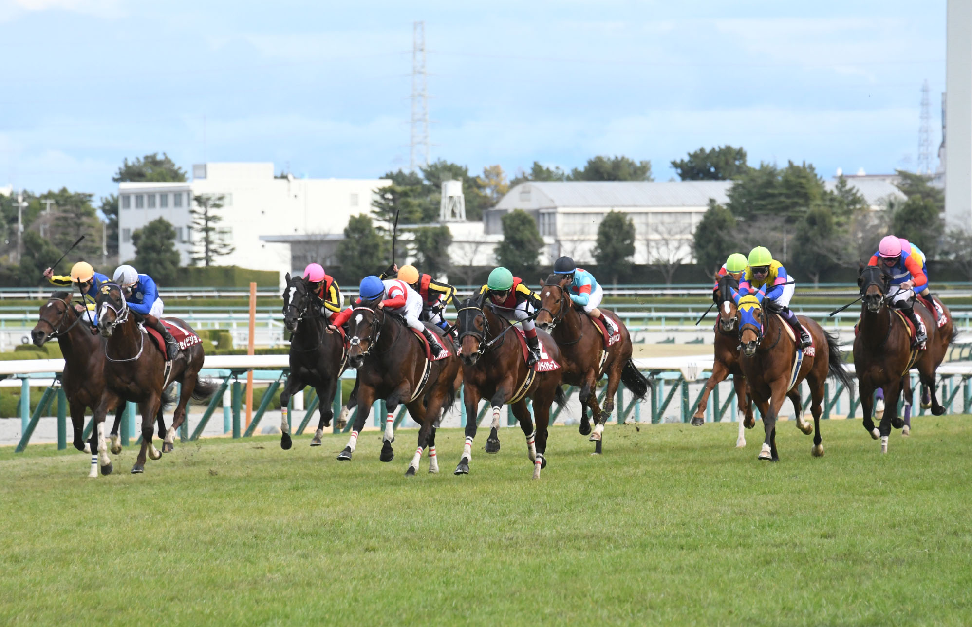 Netkeiba 今日は切れに切れた 影を潜めていた末脚が爆発 グレナディアガーズ クリスチャン デムーロ 阪神カップ T Co G0ho77esih T Co H1ytsccmqk Twitter