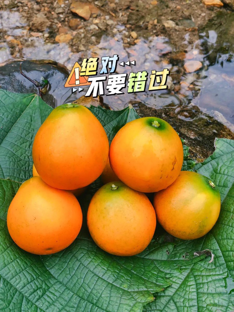 ChengjiMulti tweet picture