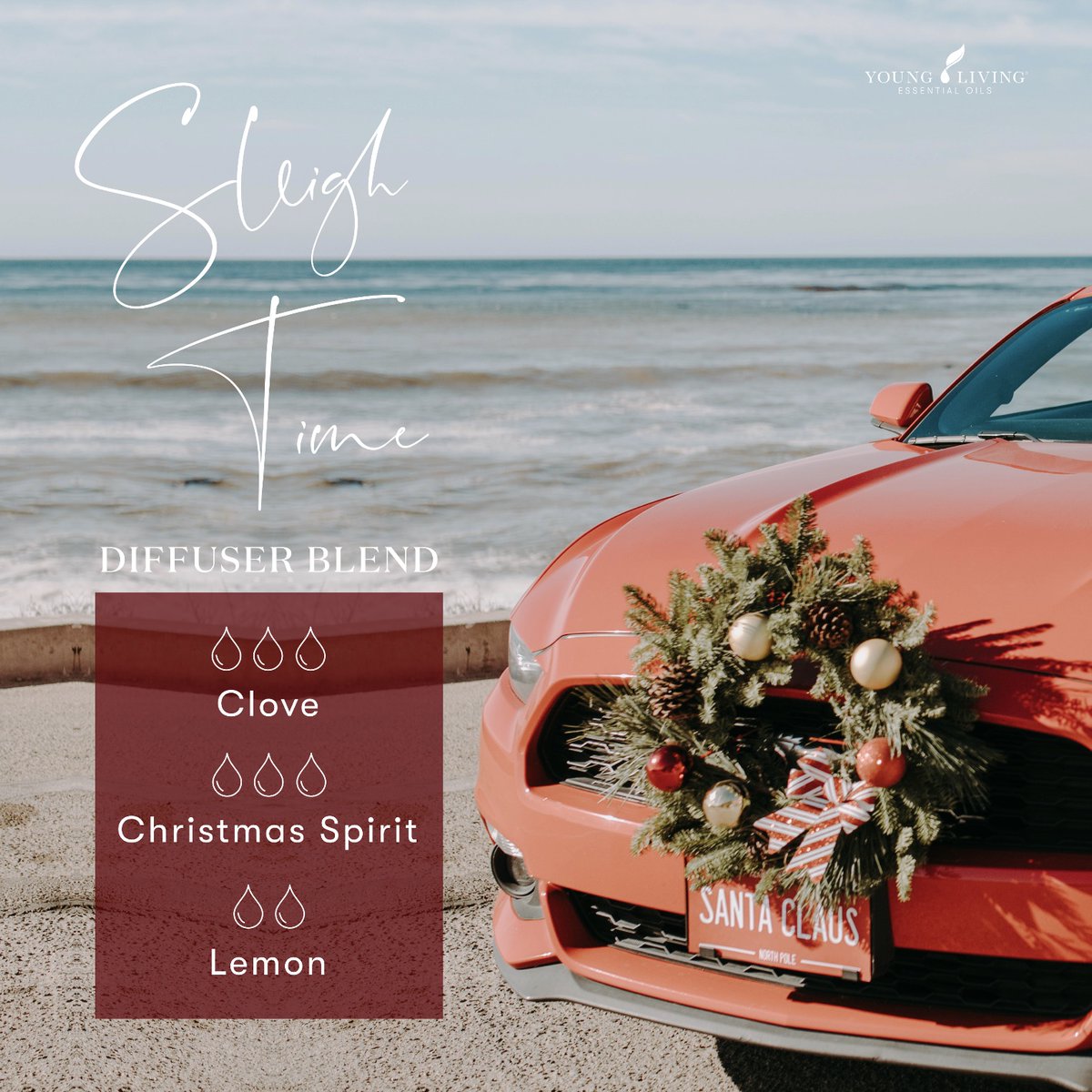 YoungLivingAF's tweet photo. 'Tis indeed the season to be jolly so we reckon this is a great blend to diffuse on this merry day! Try it out and let us know how much cheer it brings! ๐โค๏ธ๐ #DiffuseAndBloom #YLAtHome #YoungLivingAfrica https://t.co/DXK3XUHQIN