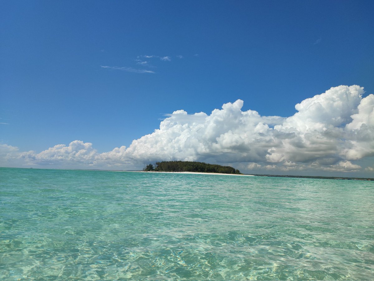 Antoine_astro31's tweet photo. #JOYEUXNOEL 🎅😎
#holidays #zanzibar https://t.co/FZYIa7LYUL