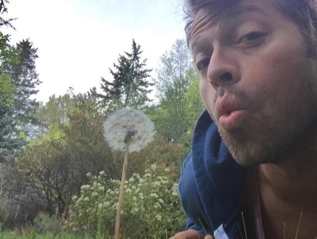 kittenstiel's tweet photo. Make a wish everyone β€β€
#iwishforthis https://t.co/2FPb00yC5T