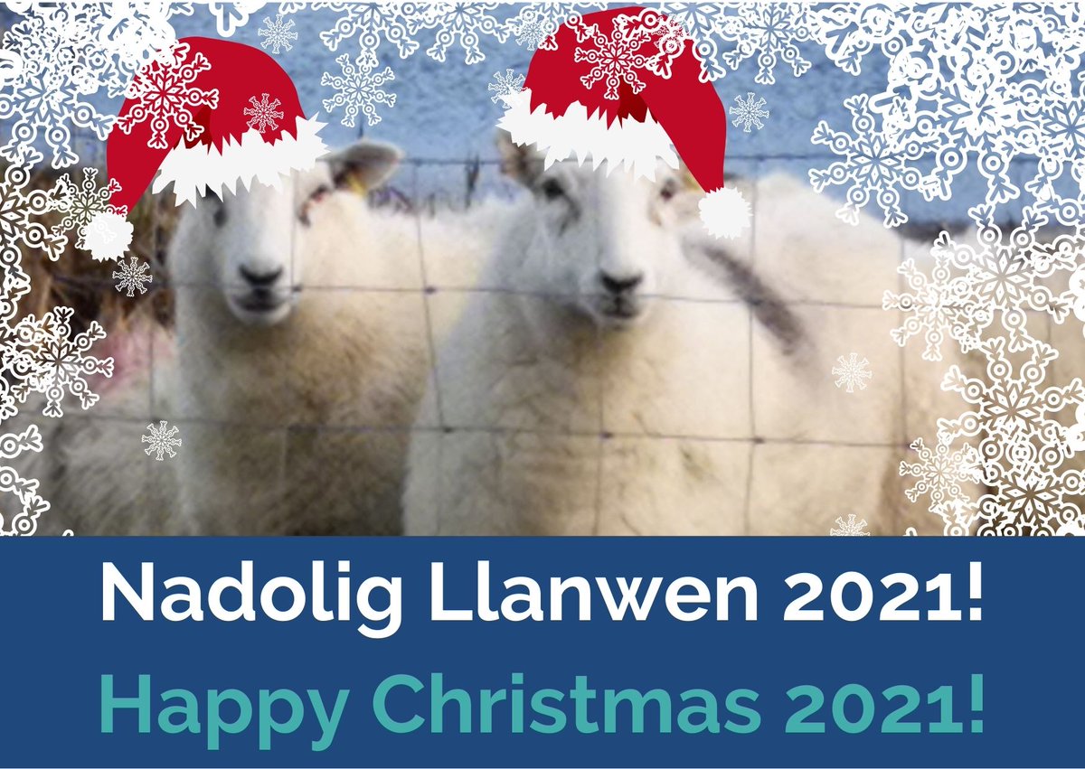 CareerAlchemy's tweet photo. Wishing you a happy and healthy #Christmas2021. https://t.co/zni9GIvhby