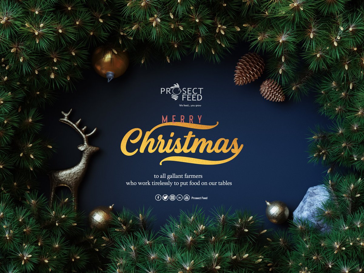 prosect_feed's tweet photo. Season's greetings. https://t.co/gUQirEG2ni