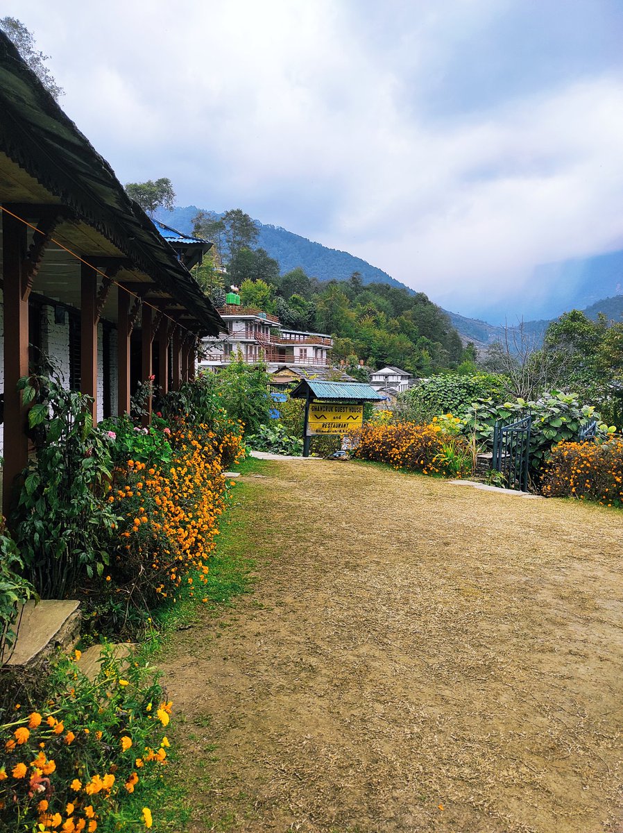 _shramina_'s tweet photo. Hello Ghandruk 🙏 #madeithere https://t.co/nQd0KO1BRl