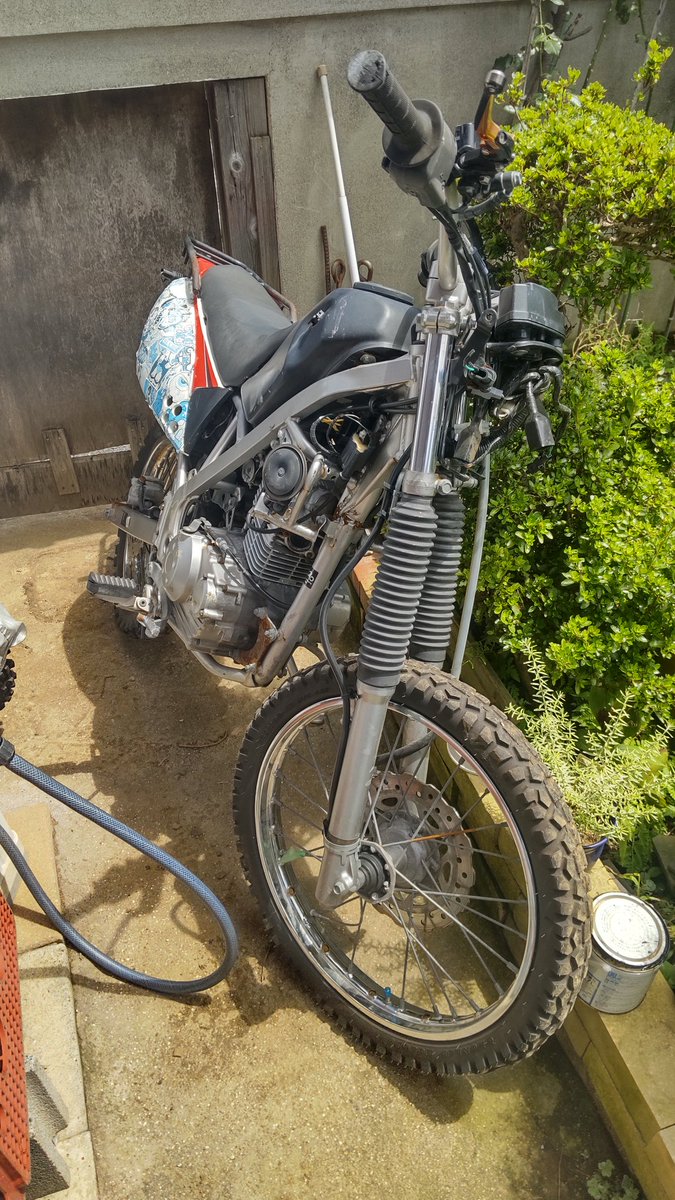 ニシム・ラディン tweet media