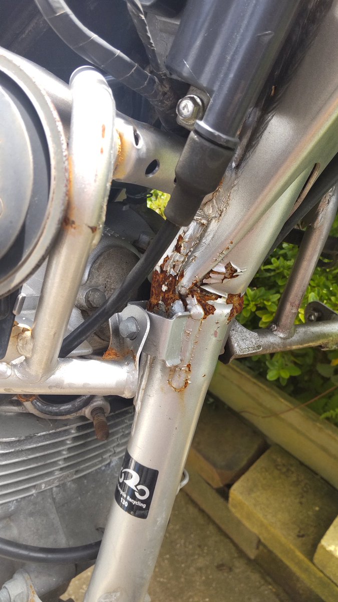 ニシム・ラディン tweet media