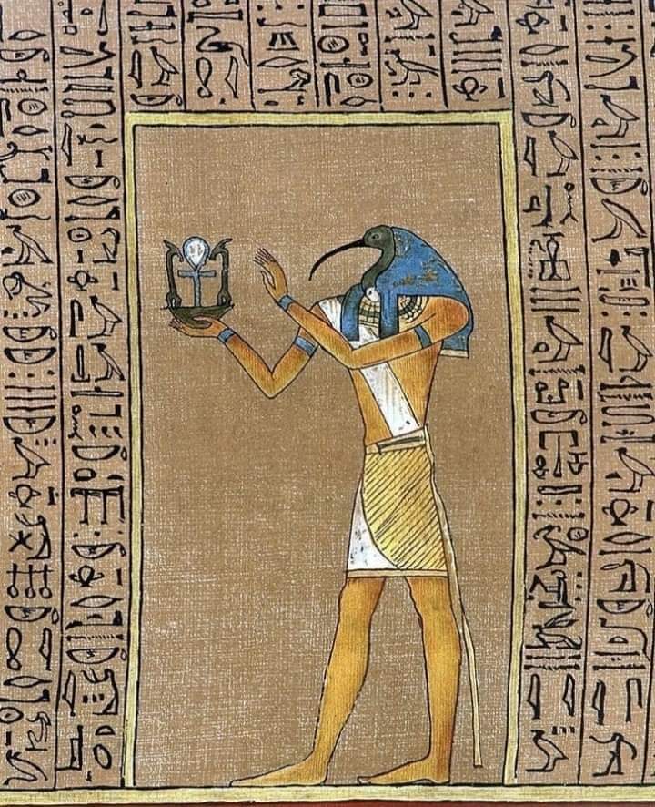 Archaeo - Histories tweet media