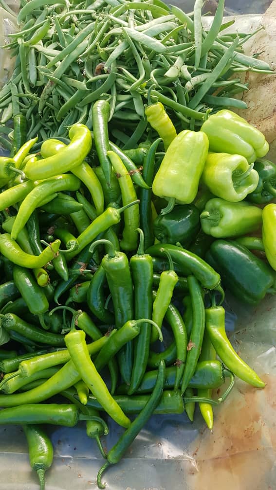 منتجات جديدة وقريباً على  <a href="/SendMeLebanon/">SendMe Lebanon</a>