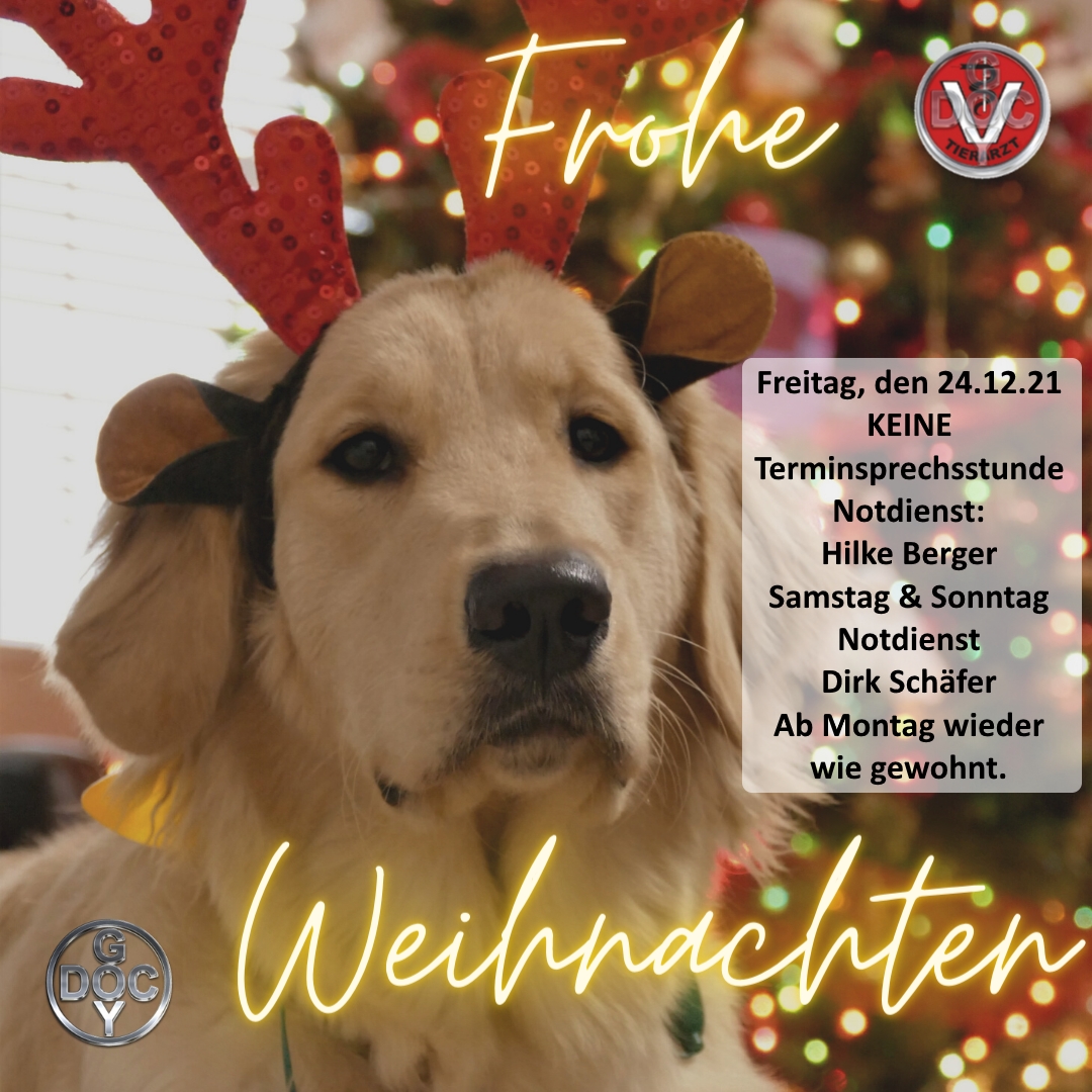 VetGoy's tweet photo. Frohe Weihnachten: https://t.co/ecWyHbK7co  ☃🐈🎅🐕  Notdienst: 25.12. + 26.12. 1. &amp; 2. Weihnachtstag -  Sa. 8:00 bis Mo 8:00 - Dirk Schäfer – Dömitz – 038758-22288 https://t.co/DcXdNMJY2H