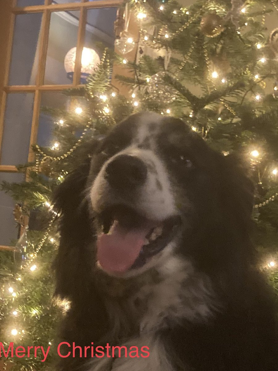 FrankhamTim's tweet photo. @JohnBishop100 Merry Christmas Mr B https://t.co/pCZLPlbrxO