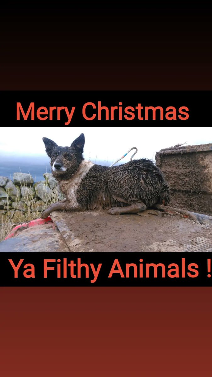 StuartCraig76's tweet photo. https://t.co/wAFsdr3QN5