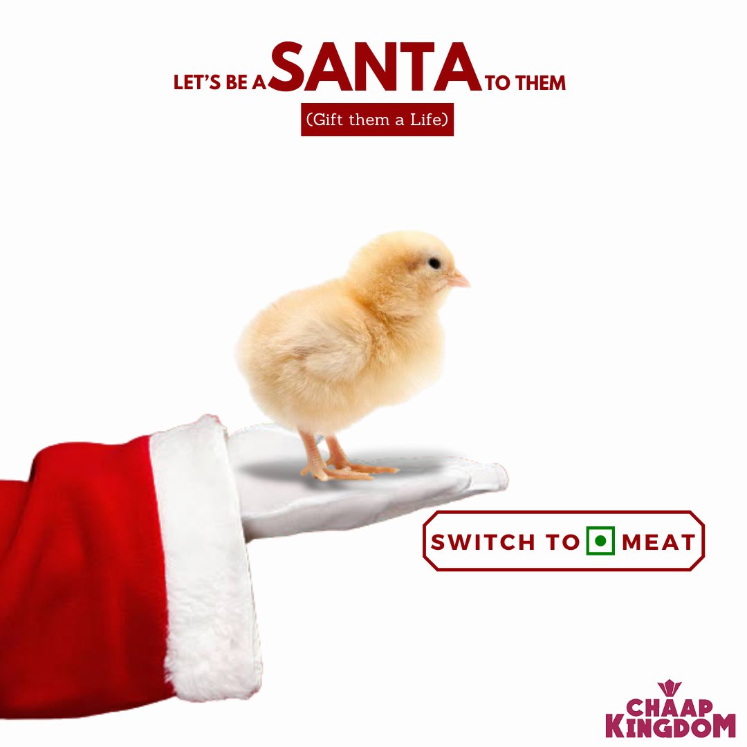 ChaapKingdom's tweet photo. Cause Santa lives within us🎅🧡
.
.
#chaapkingdom #chaap #soyachaap #vegetarian #mockmeat #ditchmeat #vegetarianfood #MerryChristmas #MerryChristmas2021 #delhifood #HappyHolidays #foodies #firsttweet https://t.co/WgVWy3PwAb