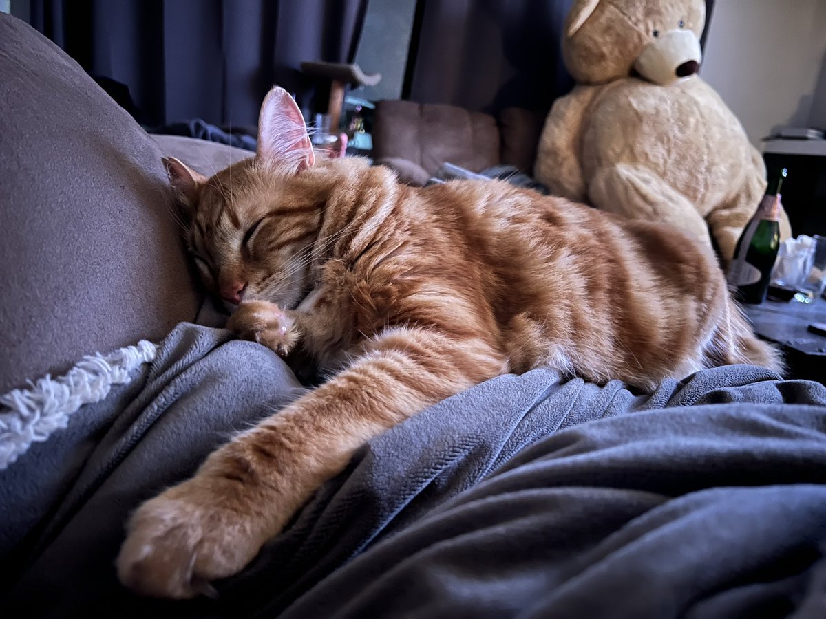 TheAwkwardPack's tweet photo. Mewwry Prewsents - Gary https://t.co/o2iejVf5YV