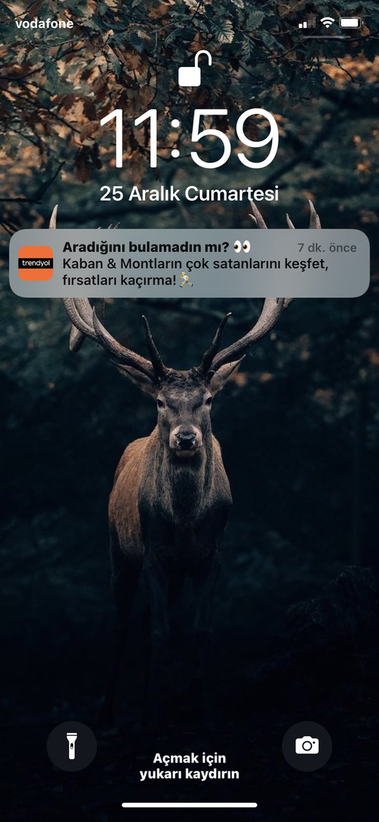 Bulamadığımdan değil kardeşim bütçem yetmedi
