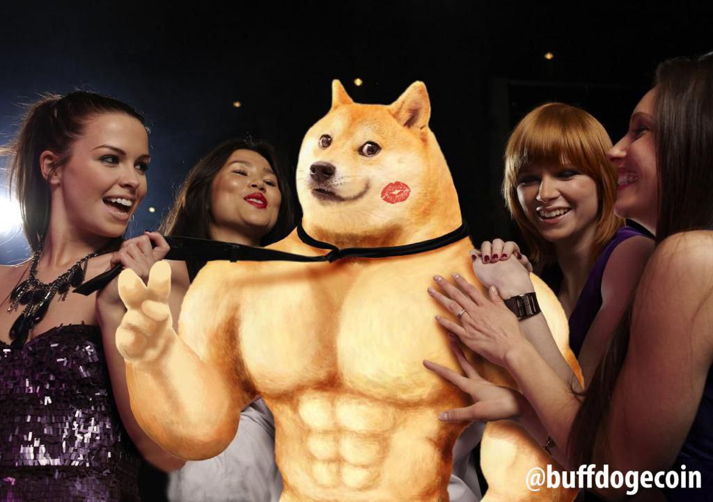hafiidh95's tweet photo. @WazirXIndia Let's go listing buff doge coin🚀🚀 #BuffDogeCoin #buffdogecoinarmy https://t.co/FMiWksHKMg