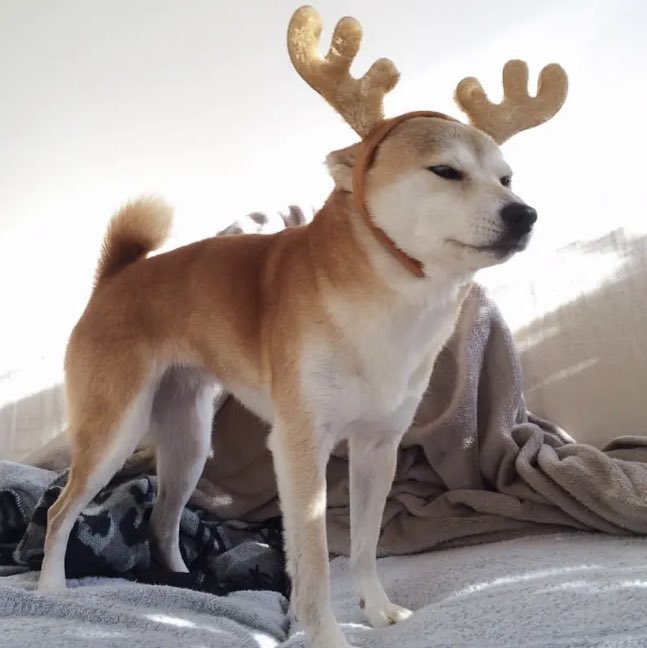 spood💫 tweet media