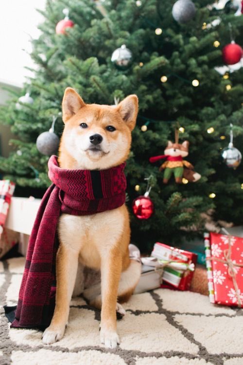 spood💫 tweet media