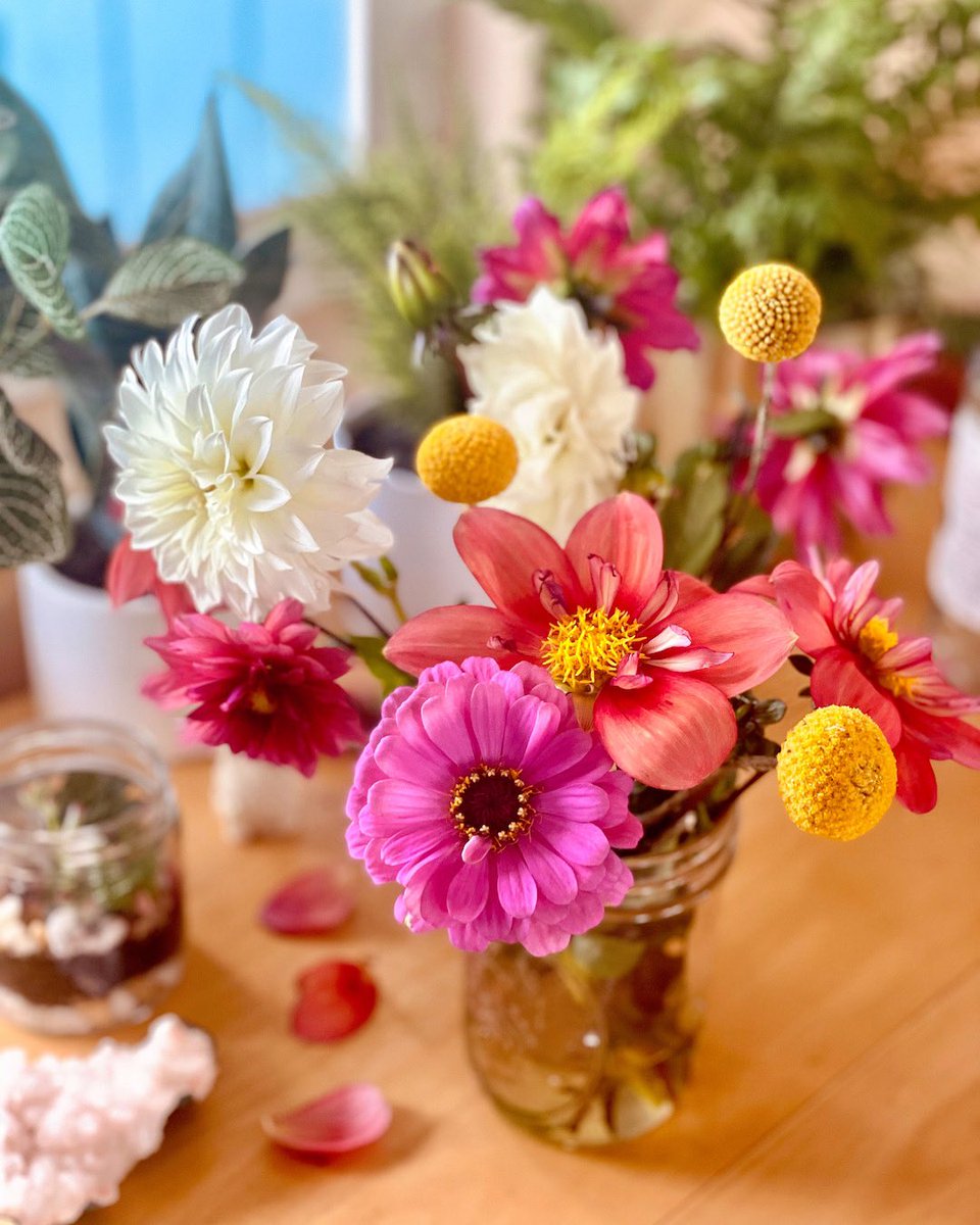 katlgreen's tweet photo. A jar full of cheer for you this holiday season! 🌸🌺🌹🌻🌼

#flower #local #spreadlove #happyholidays2021 #celebration #naturelovers #happyholidays #flowerphotography #blessing #flowers https://t.co/kviP2gCX4y