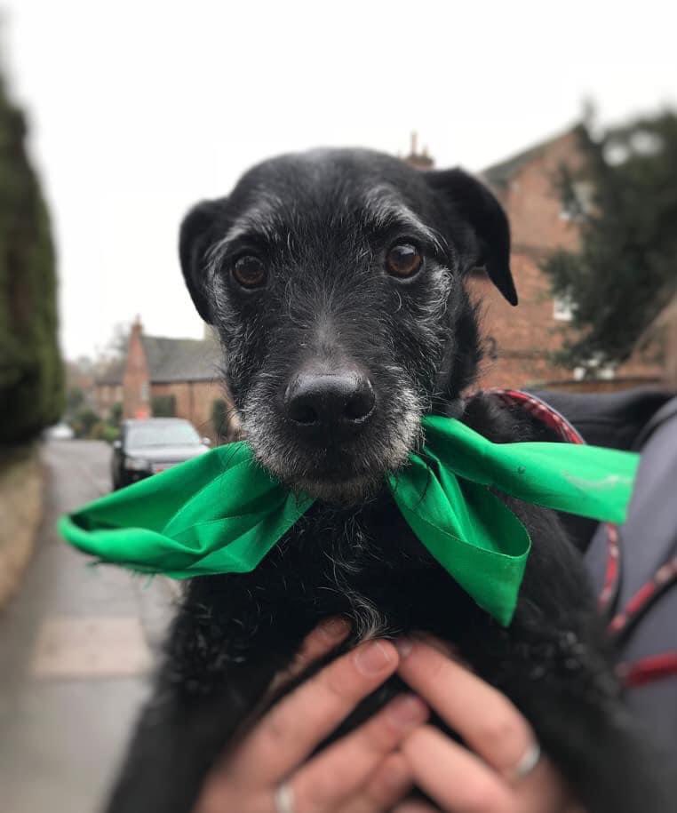 Merry Christmas you beautiful people ❤️😍😍🎄