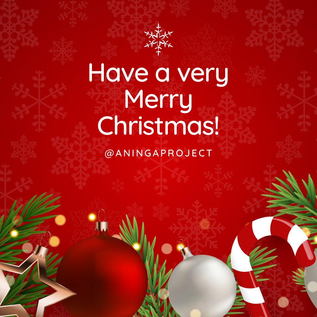 The Aninga Project tweet media