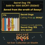 Photo by Secret Dogs (@SecretDogsNFT)