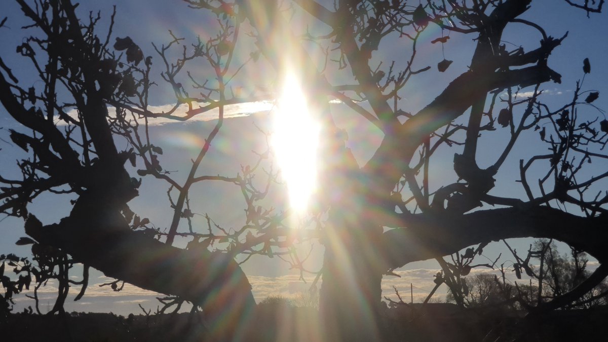 XG7AV's tweet photo. #BonNadal #Llum #Light #Luz #Navidad #Christmas #Nadal #MerryChristmas and #HappyNewYear #FelizNavidad y #FelizAñoNuevo #FeliçAnyNou #World #Catalunya #Barcelona https://t.co/JS25oBP8Qd