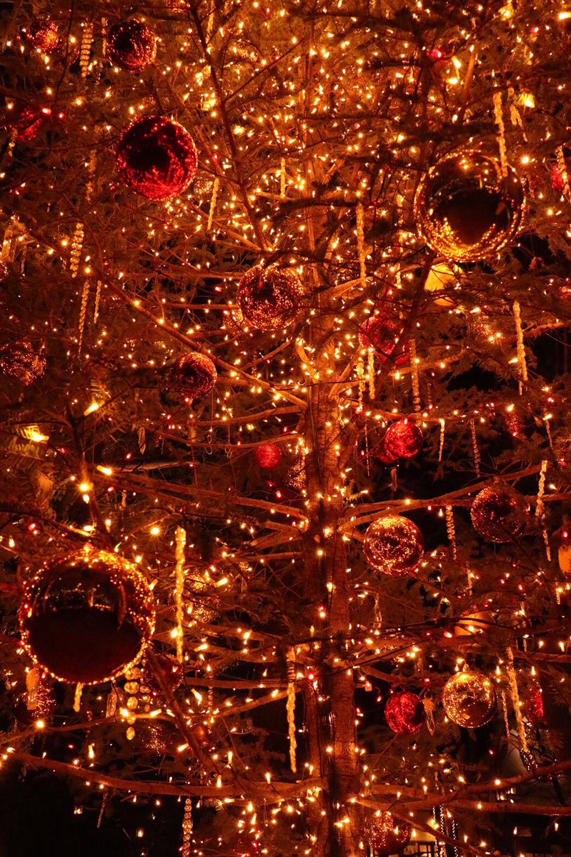 PhotoNaru's tweet photo. Merry Xmas🎄

#写真好きな人と繋がりたい  #photo #photography  #snap #Christmas  #Xmas #HappyHolidays #MerryXmas  #MerryChristmas 
SUZURI→ https://t.co/7VtNnuEFCI
minne→https://t.co/phFBnjrH01 https://t.co/IqaUCmJOYQ