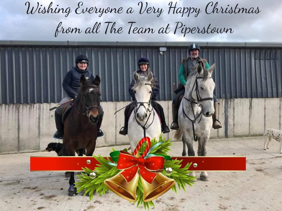 Happy Christmas, have a great day #Christmas2021 #louthchat 🏇🥳
