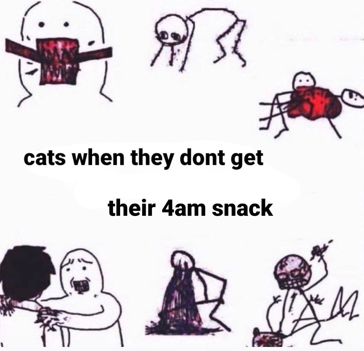 asdf_78601's tweet photo. #CatsOfTwitter #catmom https://t.co/xr74svTlCt